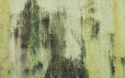 How to Prevent Mold After Water Damage: Effective Strategies for Swift Restoration