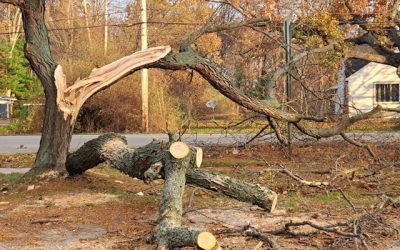 Storm Recovery and Rebuilding Solutions: Effective Strategies for Resilient Communities