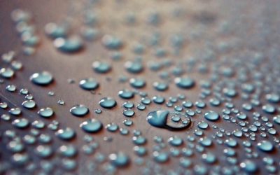 Structural Drying and Moisture Control: Essential Techniques for Building Integrity