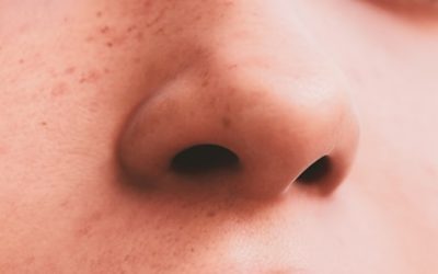 How to Remove Sewage Odor After a Backup: Effective Solutions for Fresh Air