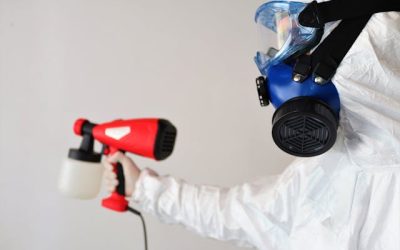Safe and Effective Mold Remediation: Best Practices and Techniques